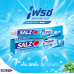 Salz Fresh Toothpaste 140g. Pack 2