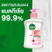 Dettol Hand Soap Hygienic Skin Care 225ml.