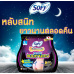 Sofy Lab Sanid Talord Khuen Sanitary Napkin Night Pants Size L 2pcs
