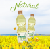 ﻿Healthy Chef Canola Oil 1Liter