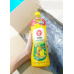 Oishi Green Tea Honey Lemon 800ml