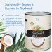 Canned Coconut milk 2900 ml