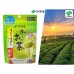 Itoen Ohi Ocha Sarasara green tea powder 40g.